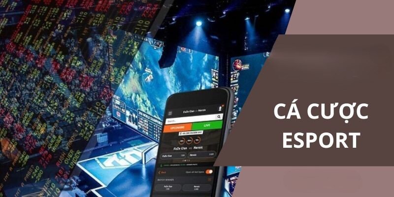 Esports 88NN